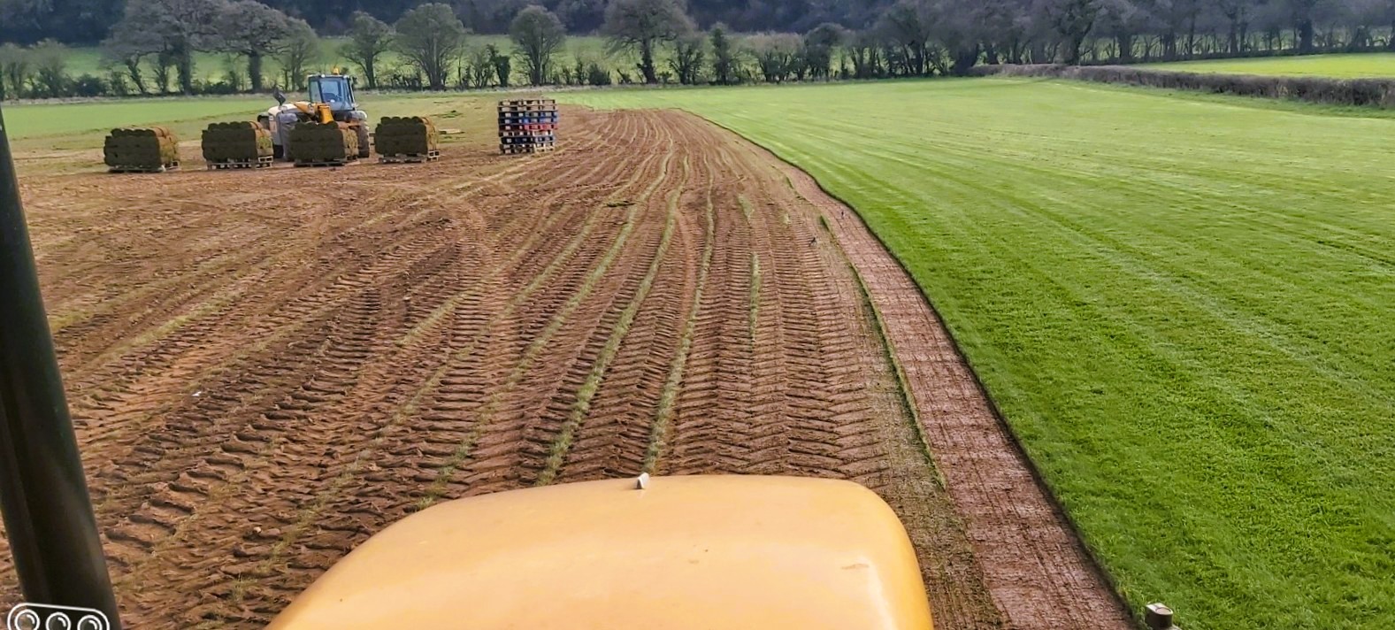 turf harvester in field
